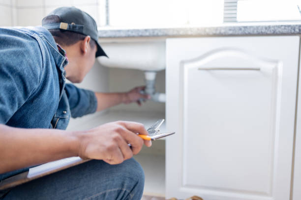 Best Sewer Line Repair  in Gorevle, IL