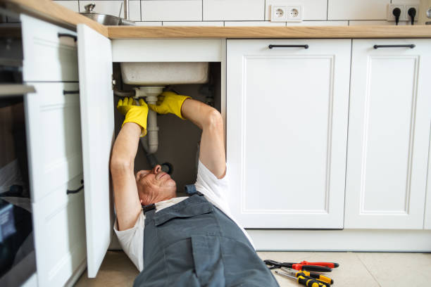 Best Sewer Cleaning Services  in Gorevle, IL